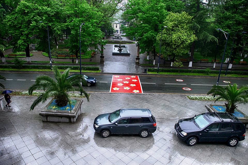 Daisies adorn crosswalk in Kutaisi, Georgia geotv.ge